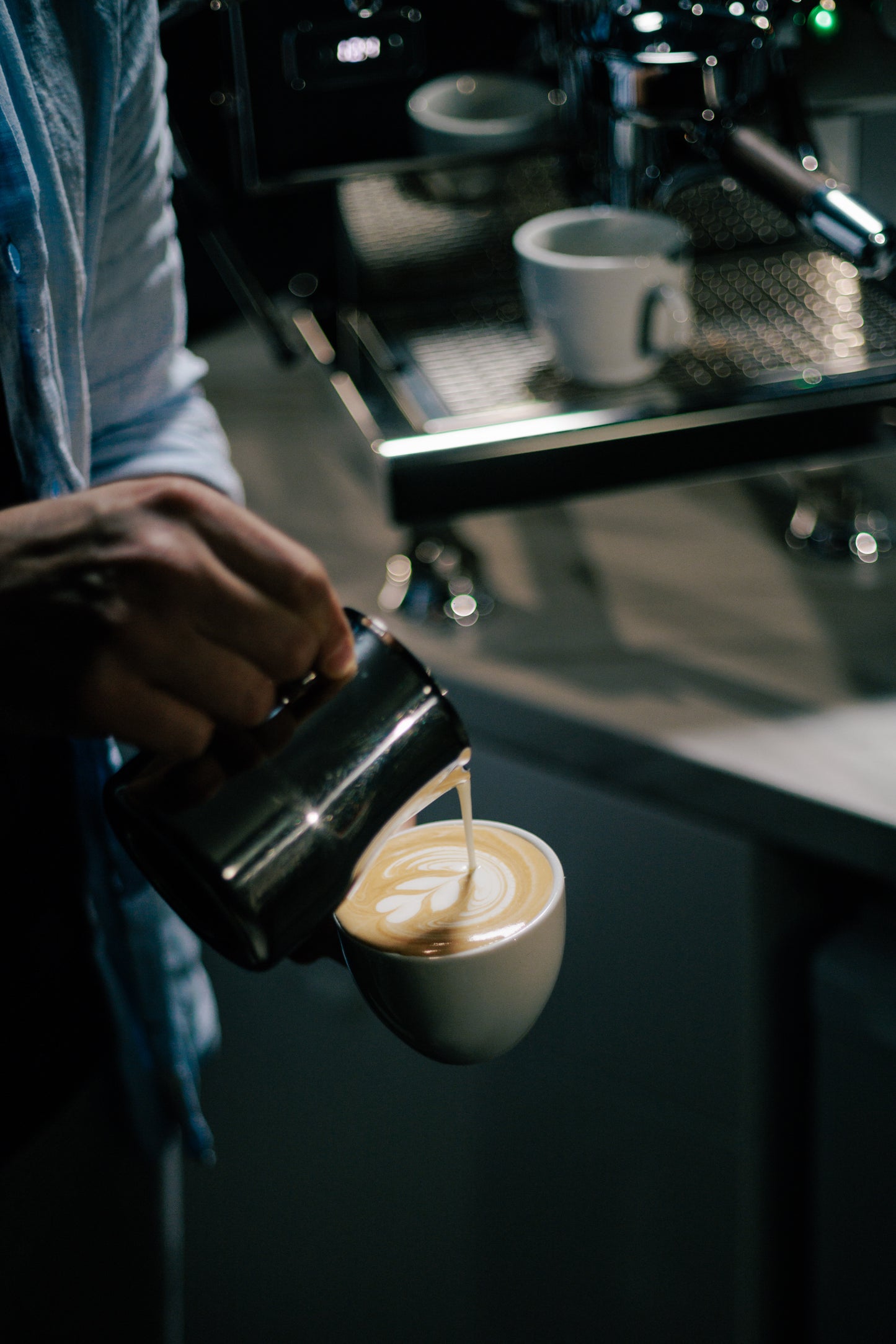 Löwenäffchen Kaffee